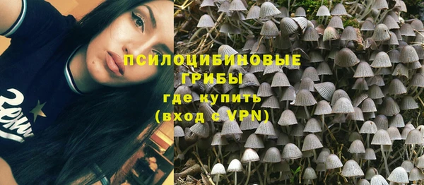 спайс Алексин