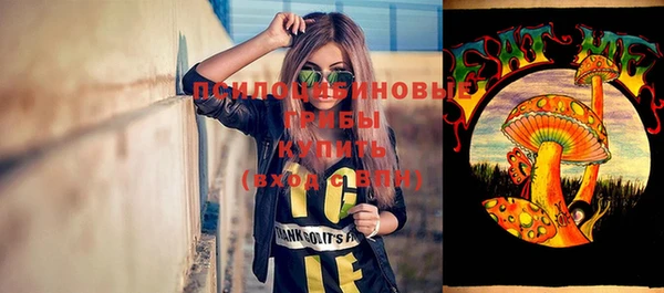 не бодяженный Медвежьегорск