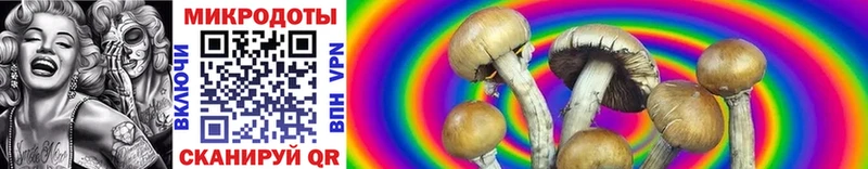 Галлюциногенные грибы Psilocybine cubensis ОМГ ОМГ как зайти Чистополь